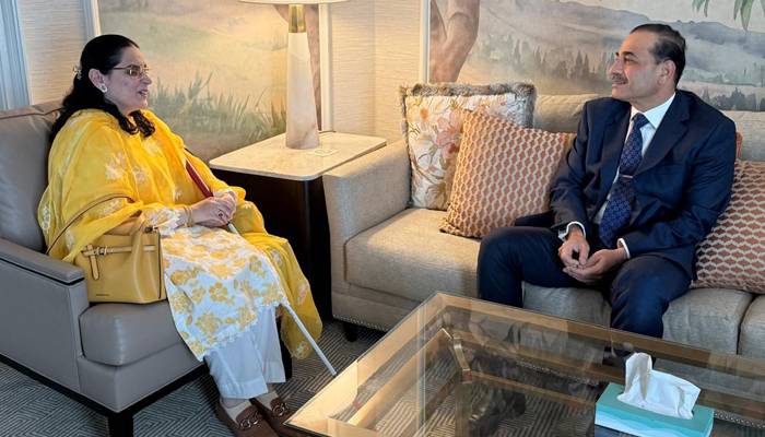 فیلڈ مارشل عاصم منیر کی پاکستانی سفارتکار صائمہ سلیم سے ملاقات، خدمات کو سراہا