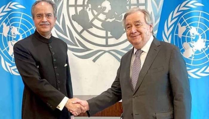 پاکستان آئندہ ماہ اقوام متحدہ کی سلامتی کونسل کی صدارت سنبھالےگا