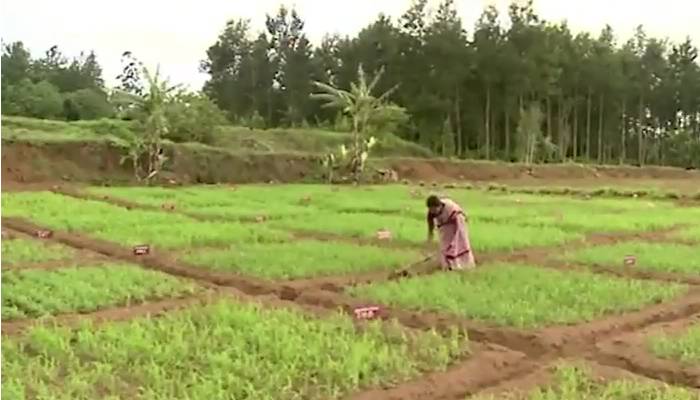 چین نے بھارت کو خصوصی کھاد کی ترسیل روک دی