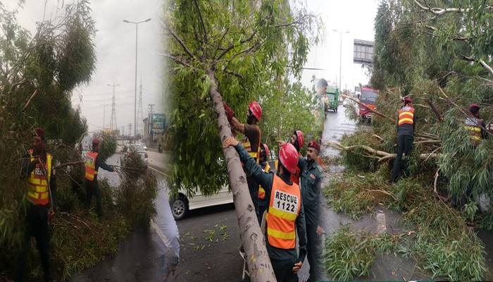 لاہور: تیز آندھی اور طوفانی بارش کے باعث سائن بورڈ،درخت  گر گئے