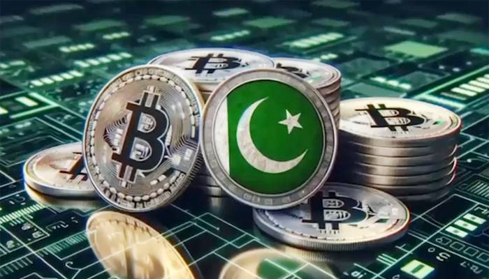 پاکستان ڈیجیٹل انقلاب کی راہ پر گامزن،سافٹ پاور سےاسمارٹ پاور کا سفر