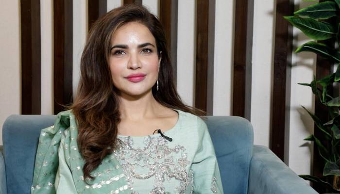 اہلخانہ حمیرا اصغر کی لاش وصول نہیں کرتے تو محکمہ ثقافت وارث ہوگا: وزیرِ ثقافت سندھ