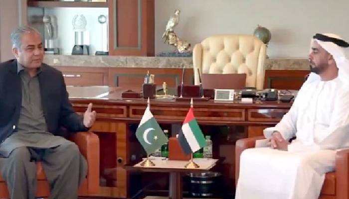 محسن نقوی کا دورہ یواےای،پاکستانیوں کیلئے ویزاپالیسی میں نرمی پر اتفاق