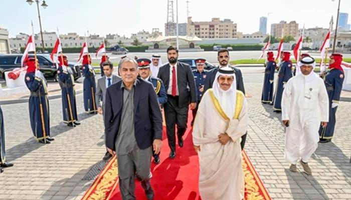 محسن نقوی کا دورۂ بحرین، سیکیورٹی تعاون پر زور