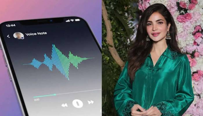 تحقیقاتی ٹیم کا اداکارہ حمیرا کی ذاتی اشیاء سے کئی اہم سراغ ملنے کا دعویٰ