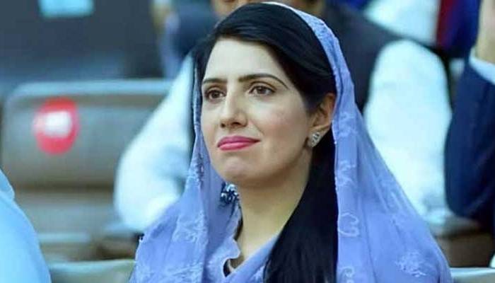 5اگست کے مقابلے میں 90 دن کاپلان کہاں سے آیا ہے؟، عالیہ حمزہ 