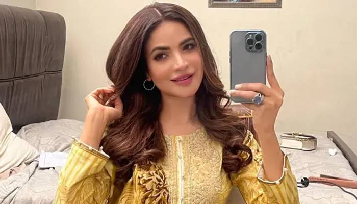 اداکارہ حمیرا اصغر کی موت: موبائل ڈیٹا سے اہم شواہد سامنے آگئے