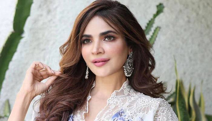 اداکارہ حمیرااصغر پراسرار موت سے قبل کن افراد سے رابطے میں تھیں؟ 