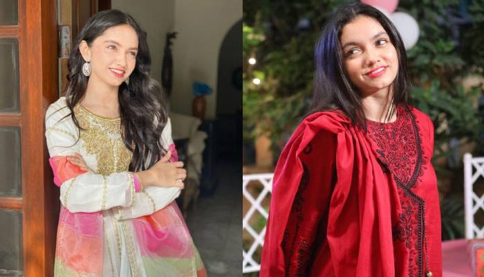 عینا آصف کی عمر کتنی؟ اداکارہ نے بتا کر مداحوں سے بڑی درخواست کردی