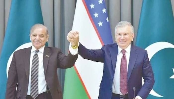 پاکستان اور ازبکستان کا توانائی کے شعبے میں تعاون اور ترقی