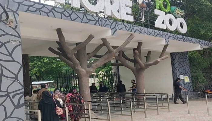 شہریوں  کیلئے خوشخبری، لاہور چڑیا گھر کی تفریحی سہولیات پر 50 فیصدڈسکاؤنٹ