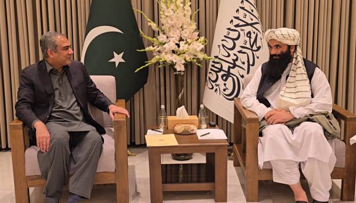 وزیر داخلہ محسن نقوی کی افغان ہم منصب سے ملاقات،کالعدم ٹی ٹی پی سے متعلق تبادلہ خیال