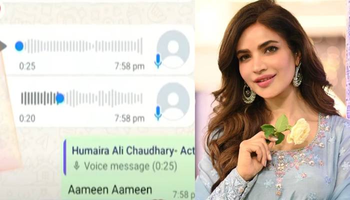 اداکارہ حمیرا اصغر کے واٹس ایپ میسجز کے اسکرین شاٹس، تہلکہ خیز دعویٰ 