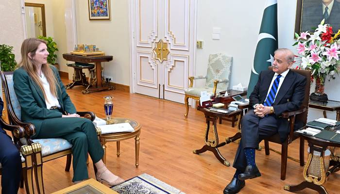 وزیر اعظم سے برطانوی ہائی کمشنر کی ملاقات، جنوبی ایشیا، مشرق وسطیٰ کی صورتحال پر تبادلہ خیال