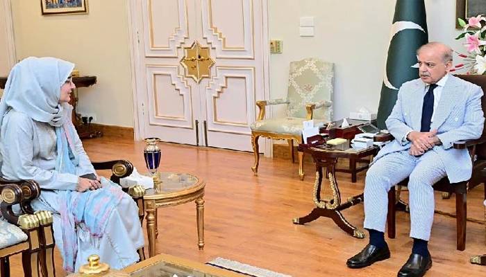 ڈاکٹرعافیہ صدیقی کیس: وزیراعظم نے پیشرفت کیلئے کمیٹی بنادی