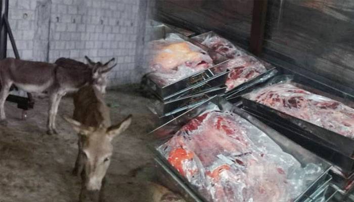 اسلام آباد میں سینکڑوں گدھے قربان،25 من گوشت بھی برآمد