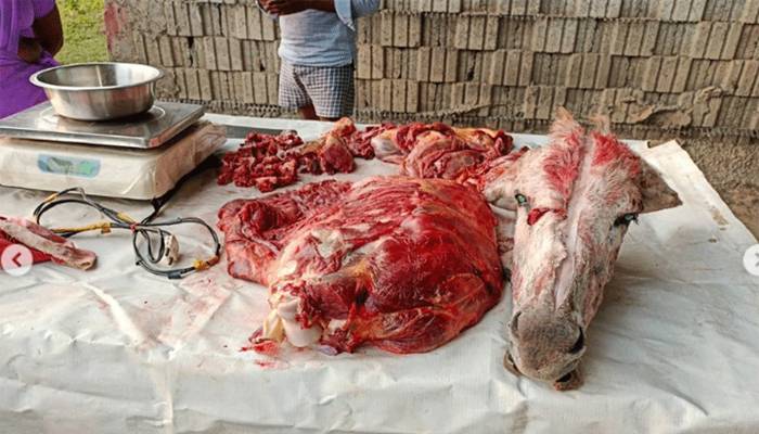 اسلام آباد: گدھے کے گوشت کی برآمدگی کا مقدمہ درج