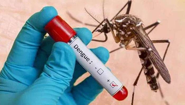 راولپنڈی میں ڈینگی کے 34 کیسز، 12 یونین کونسلز حساس قرار