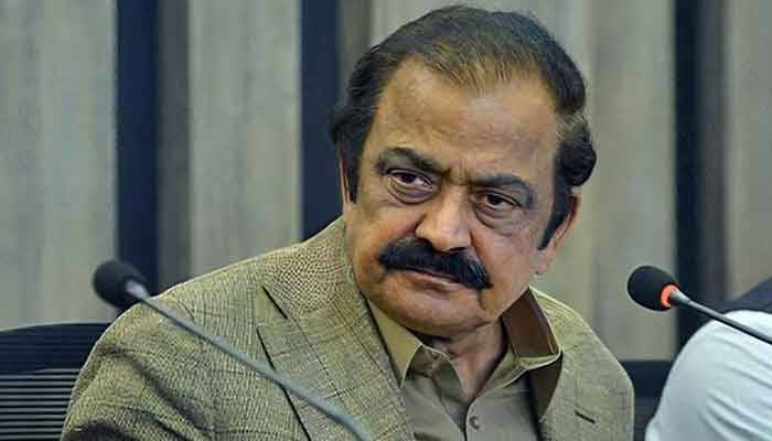 یوم استحصال کشمیر: راناثناءاللہ کا کشمیری عوام سے اظہاریکجہتی