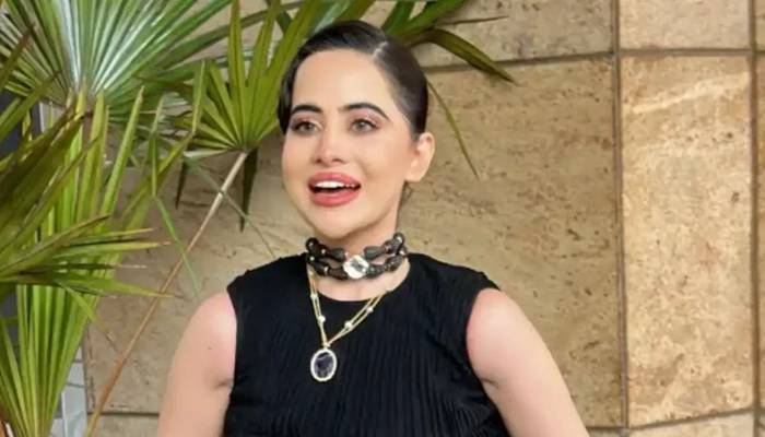 عرفی جاوید کو دہلی کے شرمیلے لڑکے سے محبت ہو گئی