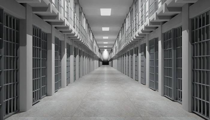 61 ممالک میں 21 ہزار 406 پاکستانیوں کے قید ہونے کا انکشاف