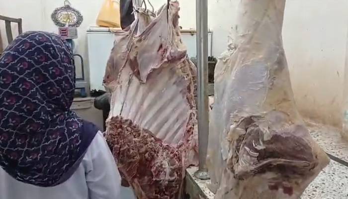 راولپنڈی میں بیمار جانوروں کے گوشت کا ایک اور بڑا گودام پکڑا گیا