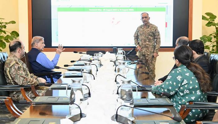 بونیر پیر بابا میں سیلاب سے قیمتی جانوں کے ضیاع پر دلی افسوس ہے: شزا فاطمہ 