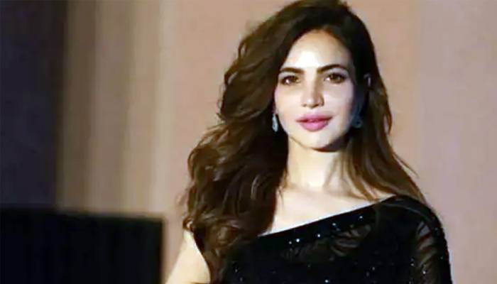 عدالت کاماڈل واداکارہ حمیرااصغر کے مبینہ قتل کا مقدمہ درج کرنے کاحکم