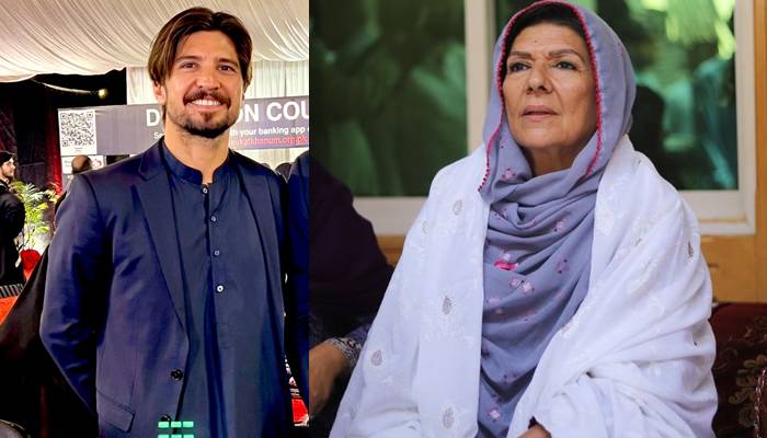 علیمہ خان کے بیٹے کا اغواء اور حملہ، پی ٹی آئی کا دو ٹوک بیان 