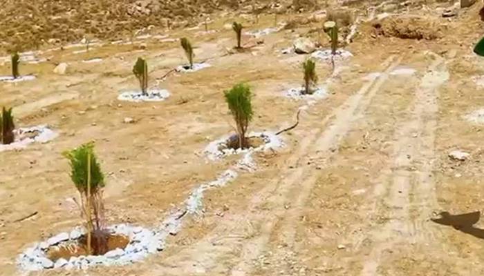 بلوچستان کے سنگلاخ پہاڑوں پر شجرکاری مہم کا آغاز