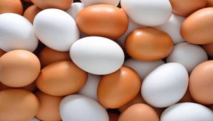 بھارت میں انڈوں کی فروخت پر پابندی کیوں لگا دی گئی؟
