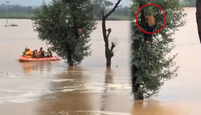  ویڈیو: سیلابی ریلے سے بچنے کیلئے درخت پر پھنسےشخص کو 2 دن بعد ریسکیو کرلیا گیا