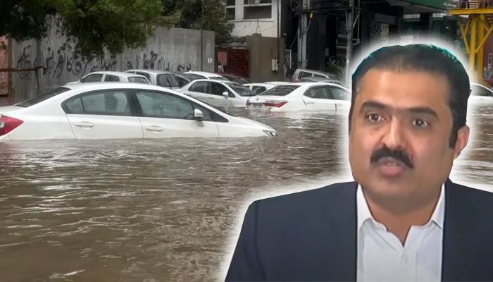 سیلاب کی تازہ ’اپ ڈیٹ‘ ڈی جی پی ڈی ایم اے نے بڑی خبر دیدی