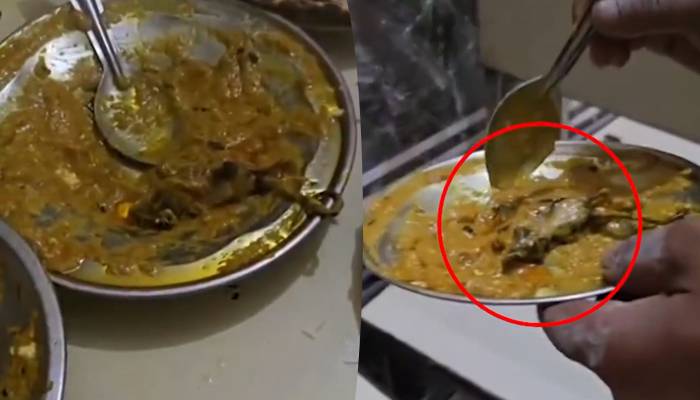 ہوٹل کے کھانے سے مرا ہوا چوہا نکل آیا، ویڈیو نے سب کو ہلا کر رکھ دیا