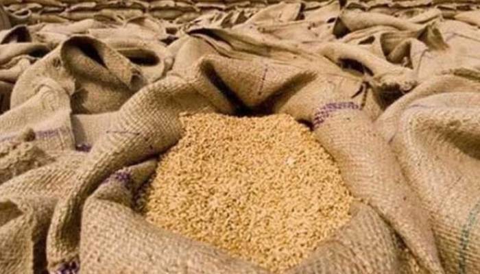 سیلاب کے باعث سندھ میں گندم کا بحران شدت اختیار کر گیا