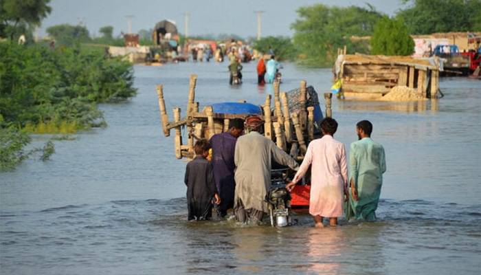 سیلاب کے بعد کونسی نئی مصیبت آرہی ہے؟ ماہرین نے خبردار کر دیا