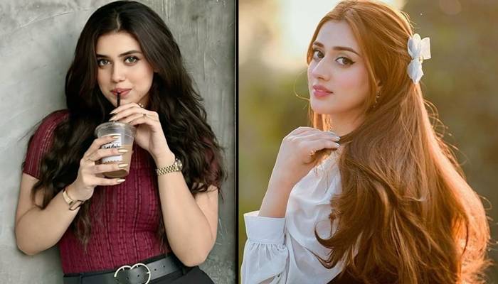 جنت مرزا کا اشارہ! سابق بوائے فرینڈ اور علینہ عامر کی قربتوں پر ہلچل