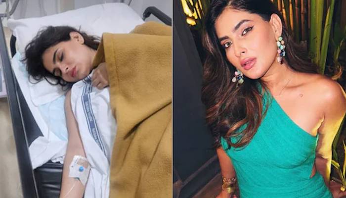 بھارتی اداکارہ ٹرین حادثہ میں زخمی،مداحوں سے دعاکی اپیل