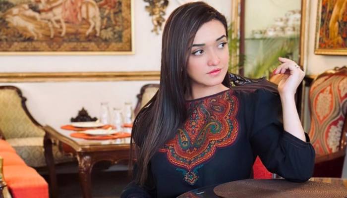 اہم کیس میں صنم جاوید سمیت دیگر کے وارنٹ گرفتاری جاری