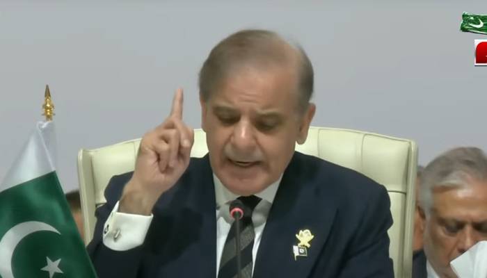 عرب اسلامک  ٹاسک فورس تشکیل دی جائے، وزیر اعظم  کا عرب اسلامی ہنگامی سربراہ اجلاس میں مطالبہ