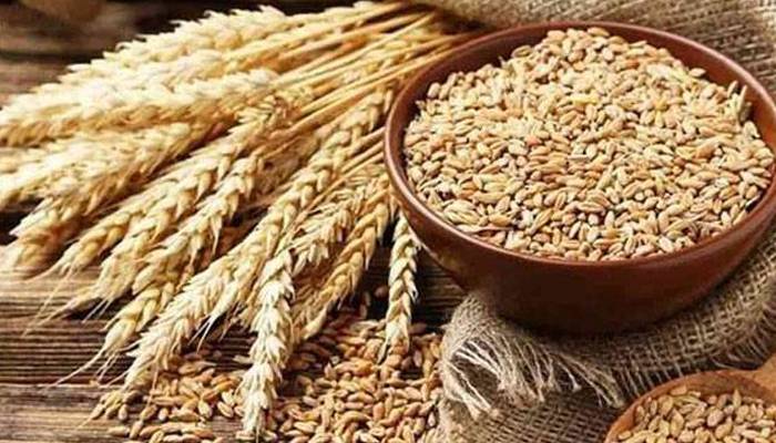 بلوچستان میں گندم کے ذخائر ختم،بحران سنگین صورتحال اختیار کرگیا