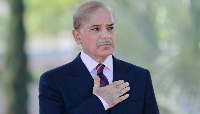 ریاض فتیانہ نے شہباز شریف کی خارجہ پالیسی کامیاب قراردیدی