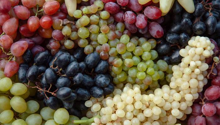 بڑھاپے کی رفتار سست کرنا چاہتے ہیں تو یہ پھل کھائیں؟ نئی تحقیق آگئی
