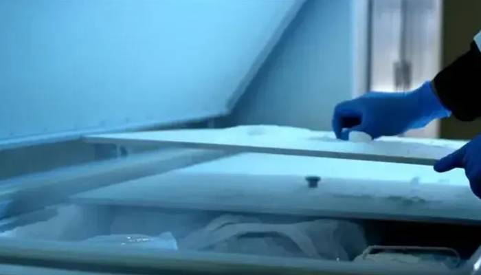 بیٹی کی لاش کو 20 سال تک فریزر میں رکھنے پر جاپانی خاتون گرفتار