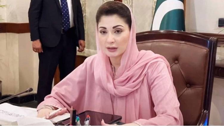 مریم نواز کے حوالے سے نازیبا گفتگو کی ویڈیو وائرل کرنے والے ٹک ٹاکرز گرفتار