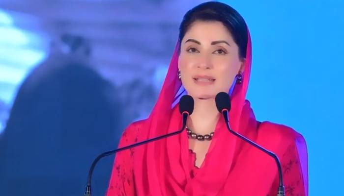 وزیراعلیٰ پنجاب کا سیلاب متاثرین کیلئے بڑے مالی پیکج کا اعلان کردیا