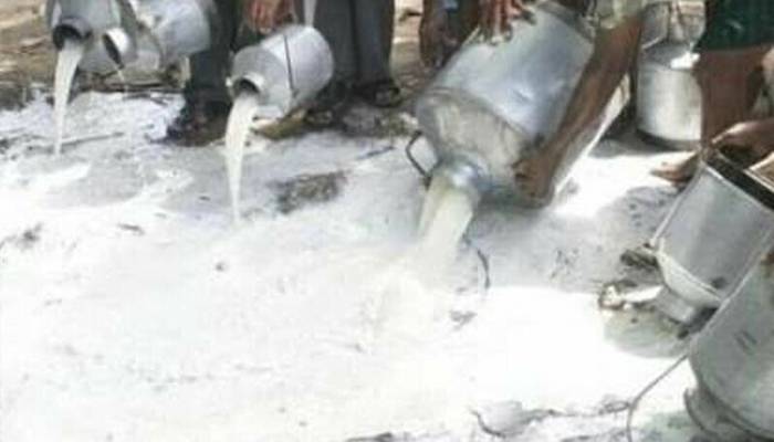 اسلام آباد فوڈ اتھارٹی کی بڑی کارروائی،6 ہزار لیٹر جعلی دودھ تلف