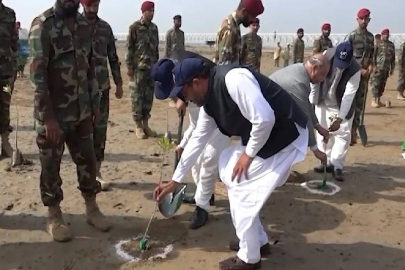پاک بحریہ کی مینگروو شجرکاری مہم 2025 کا آغاز