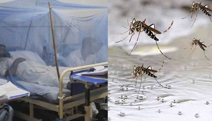 لاہور میں ڈینگی وائرس کے وار تیز، مزید 38 مریضوں کی تصدیق