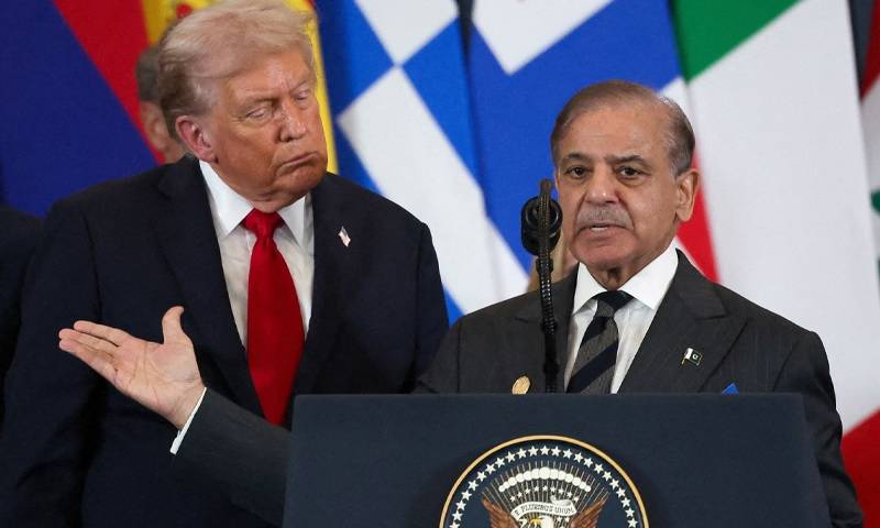 شہباز شریف واحد رہنما ہیں جو جانتے ہیں کہ ٹرمپ کو کیسے ڈیل کرنا ہے، برطانوی اخبار